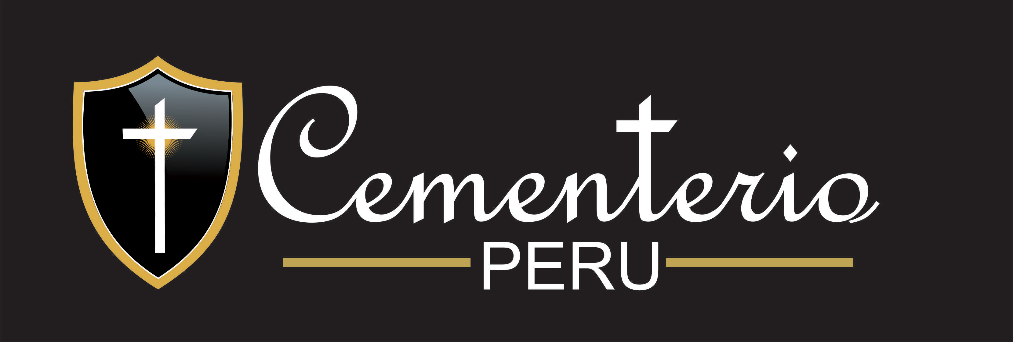 Website Logo